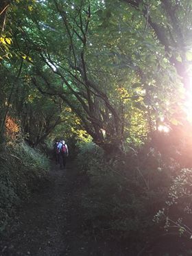 evening light and shadows
